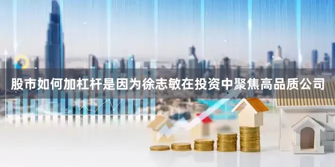 股市如何加杠杆是因为徐志敏在投资中聚焦高品质公司