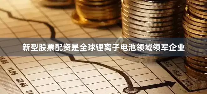 新型股票配资是全球锂离子电池领域领军企业
