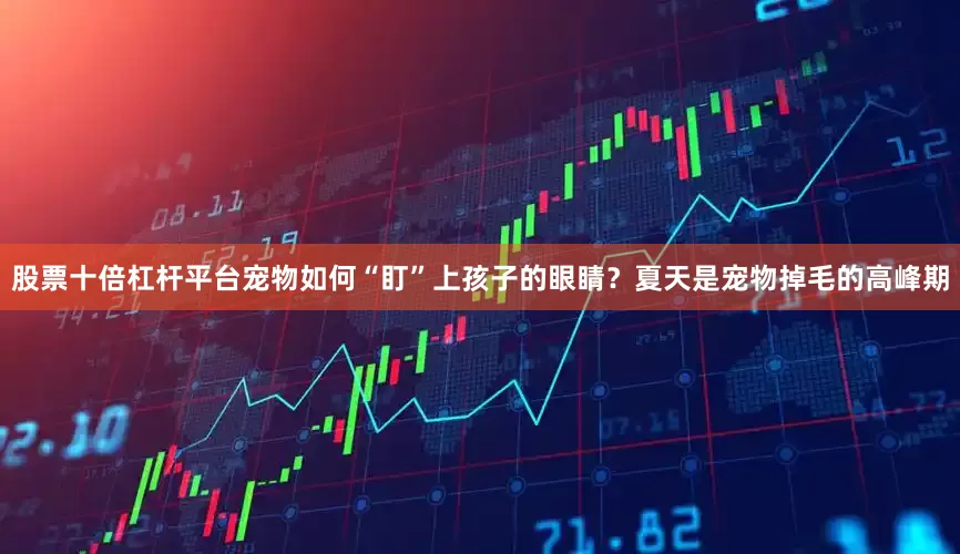 股票十倍杠杆平台宠物如何“盯”上孩子的眼睛？夏天是宠物掉毛的高峰期