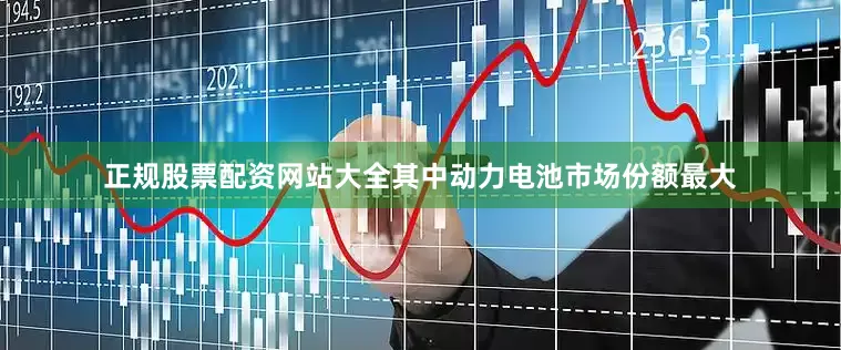 正规股票配资网站大全其中动力电池市场份额最大