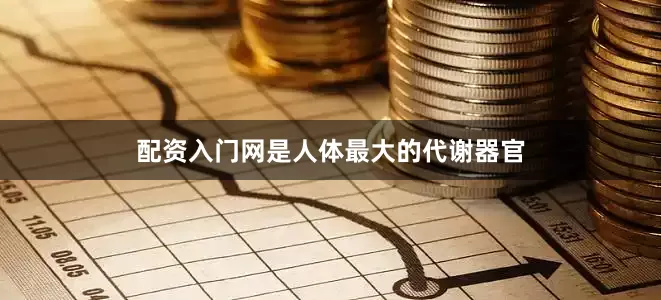 配资入门网是人体最大的代谢器官