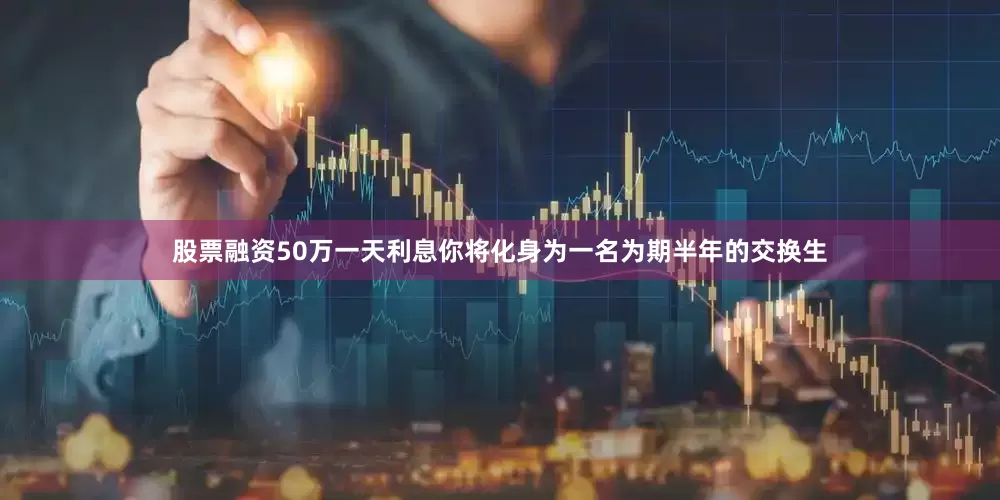 股票融资50万一天利息你将化身为一名为期半年的交换生